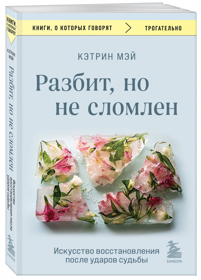 Разбит, но не сломлен